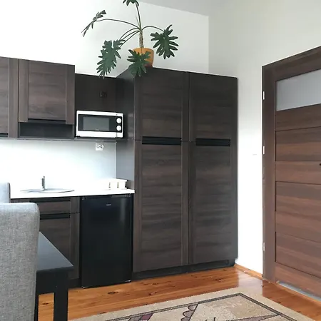 Apartment Promenada Studio *